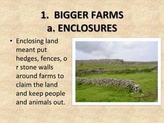 1. BIGGER FARMS
           a. ENCLOSURES
• Enclosing land
  meant put
  hedges, fences, o
  r stone walls
  around farms to
  claim the land
  and keep people
  and animals out.
 