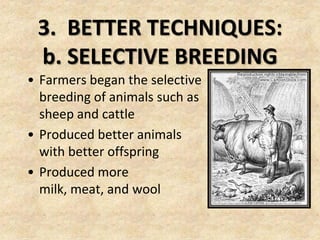 3. BETTER TECHNIQUES:
 b. SELECTIVE BREEDING
• Farmers began the selective
  breeding of animals such as
  sheep and cattle
• Produced better animals
  with better offspring
• Produced more
  milk, meat, and wool
 