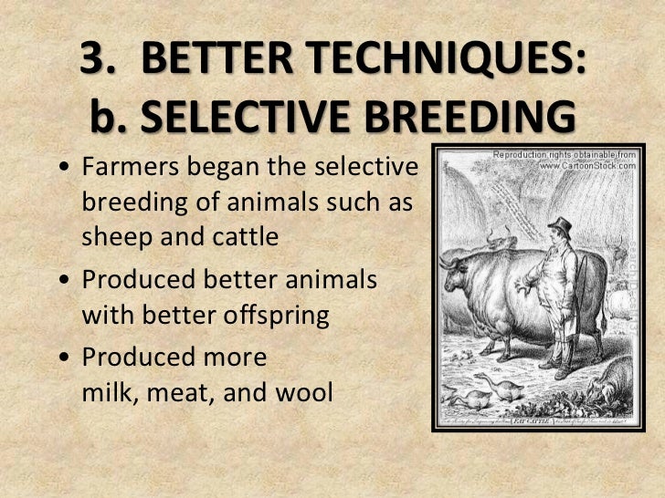 Economic Revolutions - Agricultural Revolution