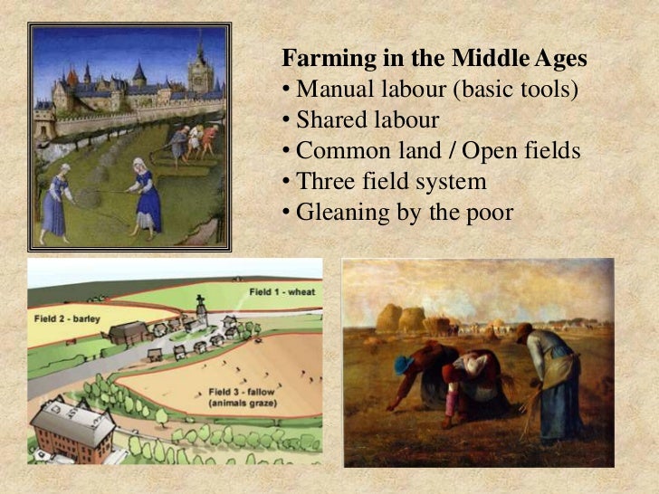 Economic Revolutions Agricultural Revolution