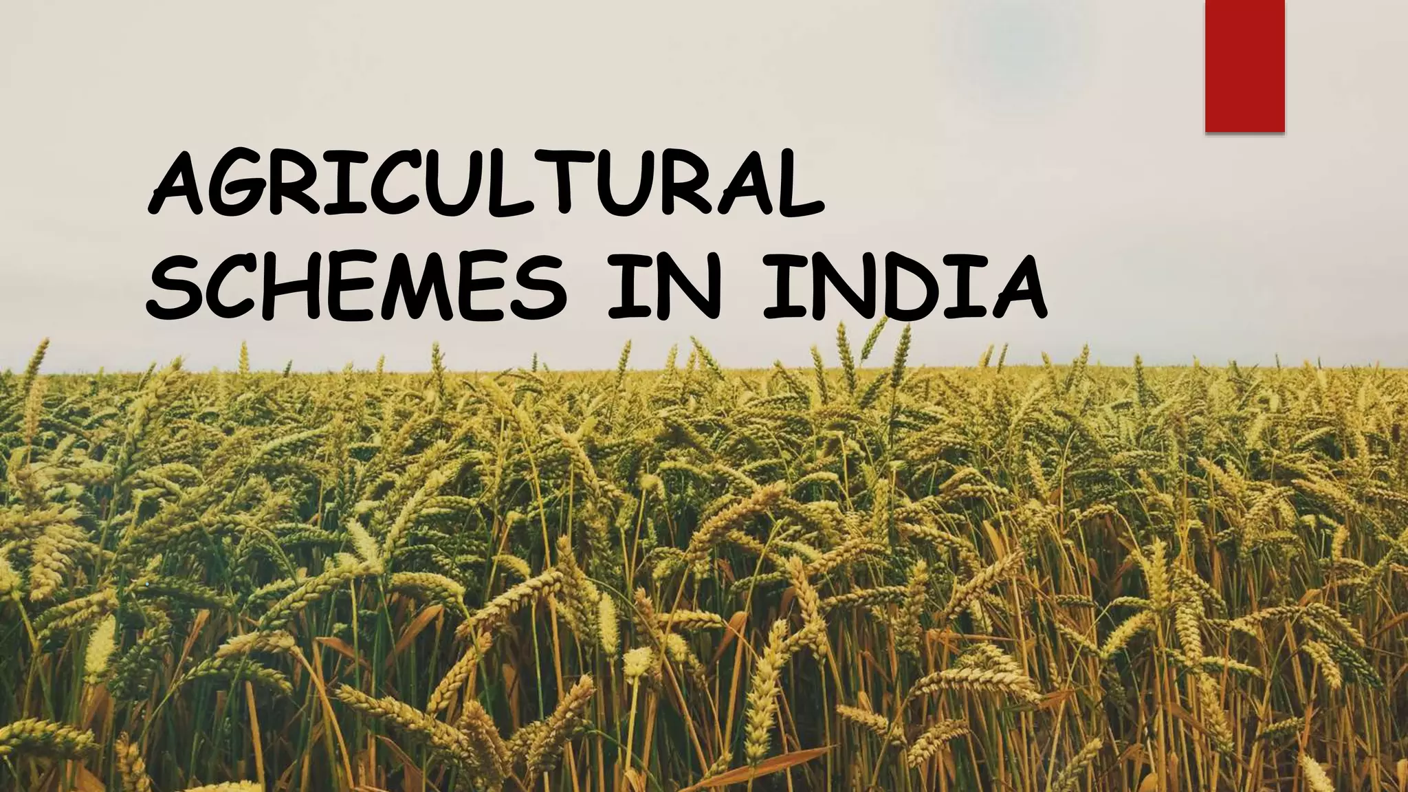 AGRICULTURAL SCHEMES IN INDIA.pptx