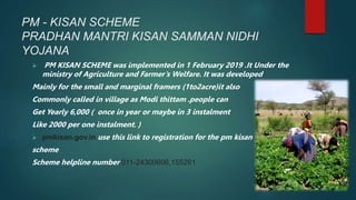 PM - KISAN SCHEME
PRADHAN MANTRI KISAN SAMMAN NIDHI
YOJANA
 PM KISAN SCHEME was implemented in 1 February 2019 .It Under ...