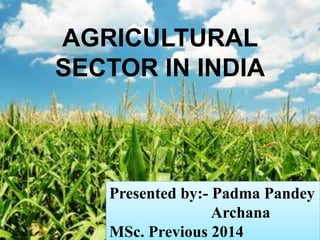 AGRICULTURAL 
SECTOR IN INDIA 
Presented by:- Padma Pandey 
Archana 
MSc. Previous 2014 
 