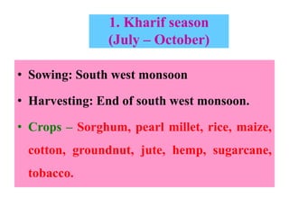 1. Kharif season
(July – October)
• Sowing: South west monsoon
• Harvesting: End of south west monsoon.
• Crops – Sorghum, pearl millet, rice, maize,
cotton, groundnut, jute, hemp, sugarcane,
tobacco.
 