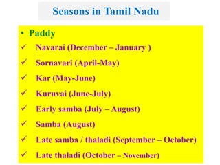Seasons in Tamil Nadu
• Paddy
 Navarai (December – January )
 Sornavari (April-May)
 Kar (May-June)
 Kuruvai (June-July)
 Early samba (July – August)
 Samba (August)
 Late samba / thaladi (September – October)
 Late thaladi (October – November)
 