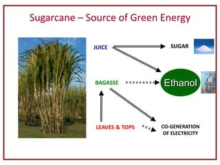 Sugarcane – Source of Green Energy
JUICE
BAGASSE
LEAVES & TOPS
SUGAR
CO-GENERATION
OF ELECTRICITY
Ethanol
