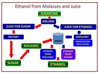 Ethanol from Molasses and Juice
MASH
JUICE FOR SUGAR
FACTORY
SUGAR
ETHANOL
FROM
SUGARS
SUGARCANE
MILLING
FERMENTATION
DISTILLATION
MOLASSES
JUICE FOR ETHANOL
ETHANOL
FROM
MOLASSES
ETHANOL
DISTILLERY
