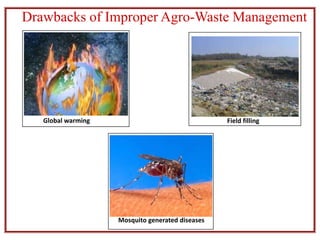 Drawbacks of Improper Agro-Waste Management
Global warming Field filling
Mosquito generated diseases
