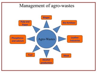 Agro-Wastes
Management of agro-wastes
Meat
Leather
Industries
Bio-fertilizer
Biogas
Pulp and
Paper
Phosphorus
and calcium
Alcohol
production
Fuel