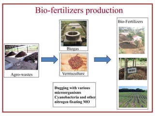 Bio-fertilizers production
Agro-wastes
Biogas
Bio-Fertilizers
Vermiculture
Dugging with various
microorganisms
Cyanobacteria and other
nitrogen fixating MO