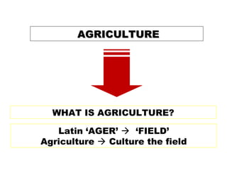 AGRICULTUREAGRICULTURE
WHAT IS AGRICULTURE?
Latin ‘AGER’  ‘FIELD’
Agriculture  Culture the field
 