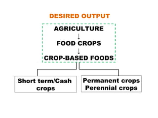 AGRICULTURE
↓
FOOD CROPS
↓
CROP-BASED FOODS
Permanent crops
Perennial crops
Short term/Cash
crops
DESIRED OUTPUT
 