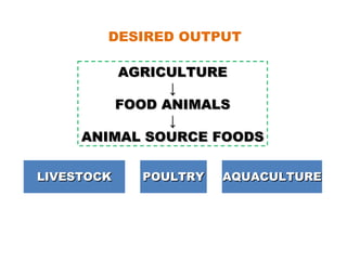AGRICULTUREAGRICULTURE
↓↓
FOOD ANIMALSFOOD ANIMALS
↓↓
ANIMAL SOURCE FOODSANIMAL SOURCE FOODS
LIVESTOCKLIVESTOCK POULTRYPOULTRY AQUACULTUREAQUACULTURE
DESIRED OUTPUT
 
