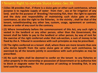 •Tenants Right to operate Sluice Gates:-Sec 38.
• (1)Sec 38 provides that , if there is a sluice gate or other such contrivance, whose
purpose is to regulate supply of water from river , sea or for irrigation of any
land, and for the purpose of Breeding/ Harvesting fish, then the right to operate
and the duty and responsibility of maintaining such sluice gate or other
contrivance, as also the right to the fisheries, in the vicinity , shall be that of the
tenant, notwithstanding any other law, custom, usage, agreement or contract,
decree or order of any court to the contrary.
• (2) Where immediately before the commencement of this Act, any such right is
vested in the landlord or any other person, other than the Government, the
tenant shall be liable to pay to the landlord or other person, by way of rent for
the exercise of the right conferred under that sub-section, a sum of money to be
fixed by the A. Tribunal in accordance with such principles as may be prescribed.
• (3) The rights conferred on a tenant shall, where there are more tenants than one
who derive benefit from the same sluice gate or other such contrivance, be
exercised by all the tenants jointly in accordance with such principles as may be
prescribed.
• (4) No such rights shall be deemed to confer on the tenant to any fisheries or
other property in the ownership or possession of Government or to authorise him
to block or stagnate water for the purpose of catching or breeding fish, in any
land used for agriculture.
 