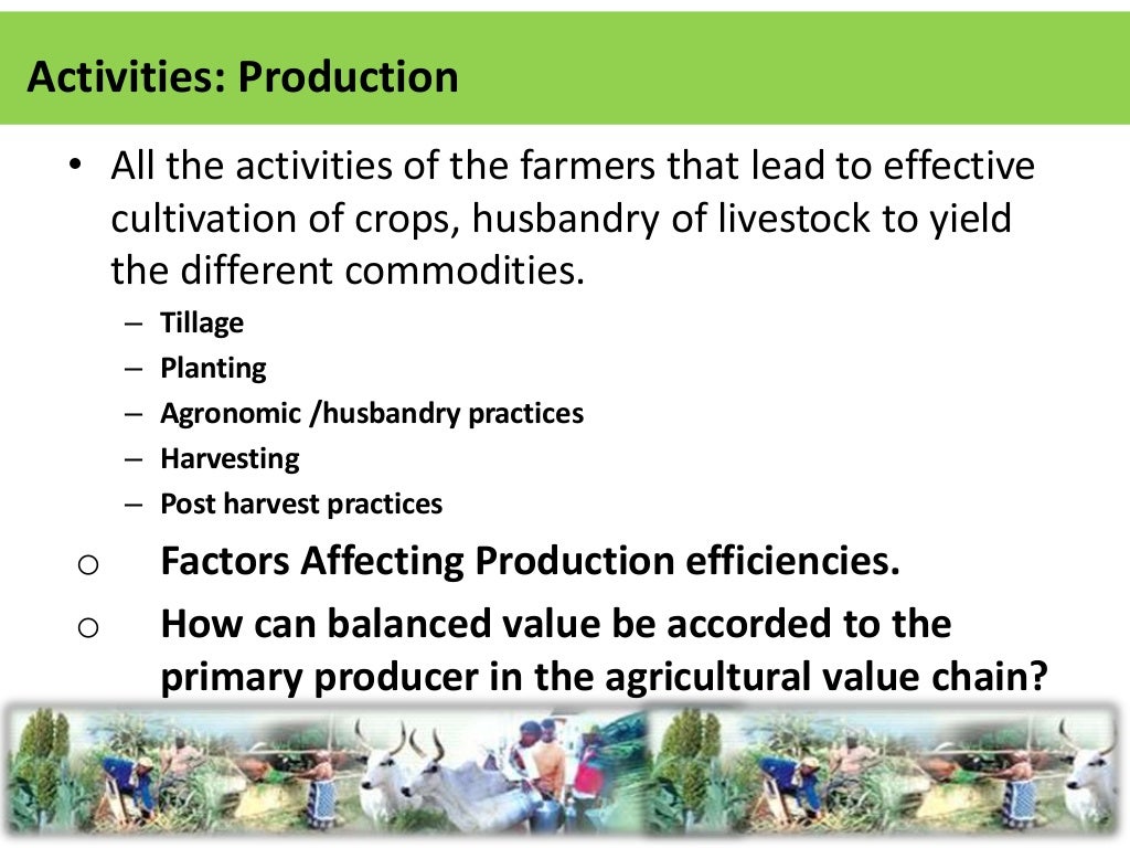 Agricultural value chain analysis