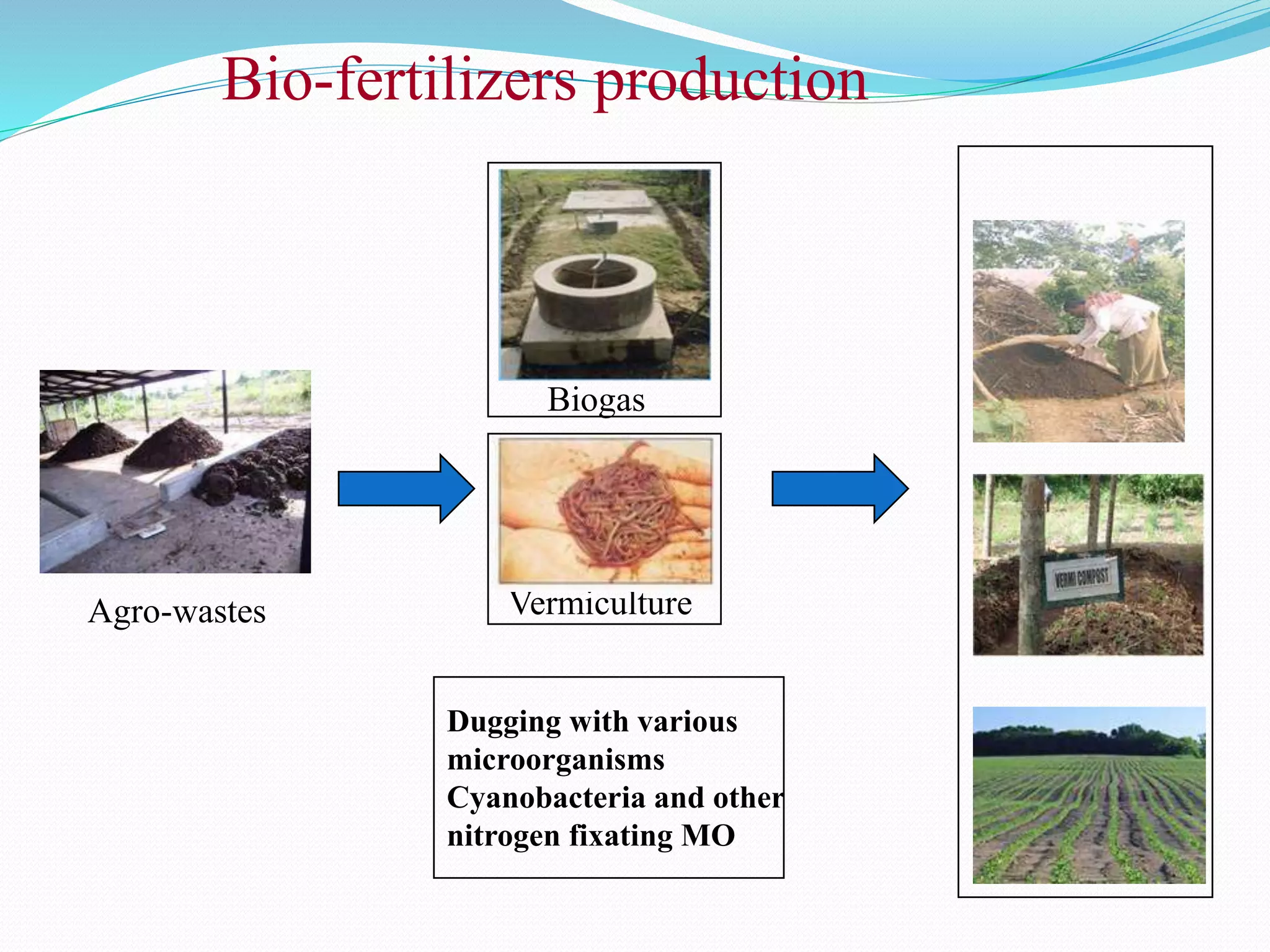 Agro-wastes
Biogas
Vermiculture
Dugging with various
microorganisms
Cyanobacteria and other
nitrogen fixating MO
Bio-fertilizers production
 