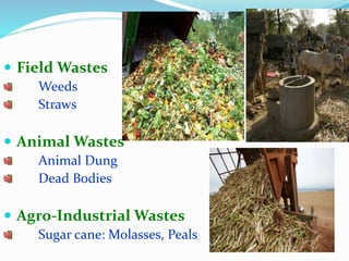 Agricultural waste management