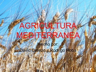 AGRICULTURA
MEDITERRANEA
        Hecho por:
David Cerezo y Rodrigo Roba
 