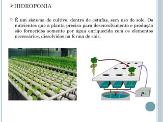 HIDROPONIA

   É um sistema de cultivo, dentro de estufas, sem uso do solo. Os
    nutrientes que a planta precisa para desenvolvimento e produção
    são fornecidos somente por água enriquecida com os elementos
    necessários, dissolvidos na forma de sais.
 
