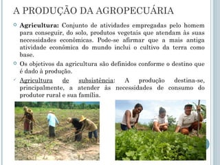 A PRODUÇÃO DA AGROPECUÁRIA
   Agricultura: Conjunto de atividades empregadas pelo homem
    para conseguir, do solo, produtos vegetais que atendam às suas
    necessidades econômicas. Pode-se afirmar que a mais antiga
    atividade econômica do mundo inclui o cultivo da terra como
    base.
   Os objetivos da agricultura são definidos conforme o destino que
    é dado à produção.
   Agricultura    de    subsistência:   A    produção    destina-se,
    principalmente, a atender às necessidades de consumo do
    produtor rural e sua família.
 