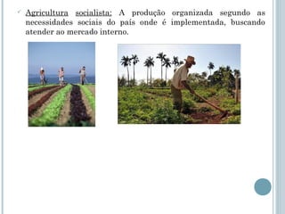    Agricultura socialista: A produção organizada segundo as
    necessidades sociais do país onde é implementada, buscando
    atender ao mercado interno.
 