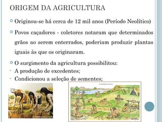 ORIGEM DA AGRICULTURA
   Originou-se há cerca de 12 mil anos (Período Neolítico)
   Povos caçadores - coletores notaram que determinados
    grãos ao serem enterrados, poderiam produzir plantas
    iguais às que os originaram.
   O surgimento da agricultura possibilitou:
•   A produção de excedentes;
•   Condicionou a seleção de sementes;
 