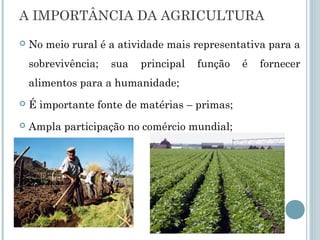 A IMPORTÂNCIA DA AGRICULTURA
   No meio rural é a atividade mais representativa para a
    sobrevivência;   sua   principal   função   é   fornecer
    alimentos para a humanidade;
   É importante fonte de matérias – primas;
   Ampla participação no comércio mundial;
 
