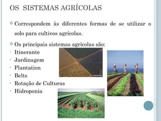 OS  SISTEMAS AGRÍCOLAS

   Correspondem às diferentes formas de se utilizar o
    solo para cultivos agrícolas.
   Os principais sistemas agrícolas são:
•   Itinerante
•   Jardinagem
•   Plantation
•   Belts
•   Rotação de Culturas
•   Hidroponia
 