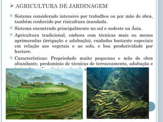  AGRICULTURA DE JARDINAGEM
   Sistema considerado intensivo por trabalhos ou por mão de obra,
    também conhecido por rizicultura inundada.
   Sistema encontrado principalmente no sul e sudeste na Ásia.
   Agricultura tradicional, embora com técnicas mais ou menos
    aprimoradas (irrigação e adubação), cuidados bastante especiais
    em relação aos vegetais e ao solo, e boa produtividade por
    hectare.
   Características: Propriedade muito pequenas e mão de obra
    abundante, predomínio de técnicas de terraceamento, adubação e
    irrigação, utilização intensiva do solo, dentre outras.
 