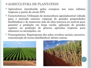 AGRICULTURA DE PLANTATION
   Agricultura introduzida pelos europeus nas suas colônias
    tropicais a partir do século XVI.
   Características: Utilização de monocultura agroindustrial voltada
    para o mercado externo; emprego de grandes propriedades
    (latifúndios) e de numerosa mão de obra (escrava ou nativa) para
    garantir a produção em larga escala, aplicação de grandes
    capitais na produção de gêneros agrícolas tropicais para
    abastecer as metrópoles, etc
   Consequências: Esgotamento dos solos; revoltas sociais; excessiva
    concentração de terras (latifúndios); dentre outras.
 
