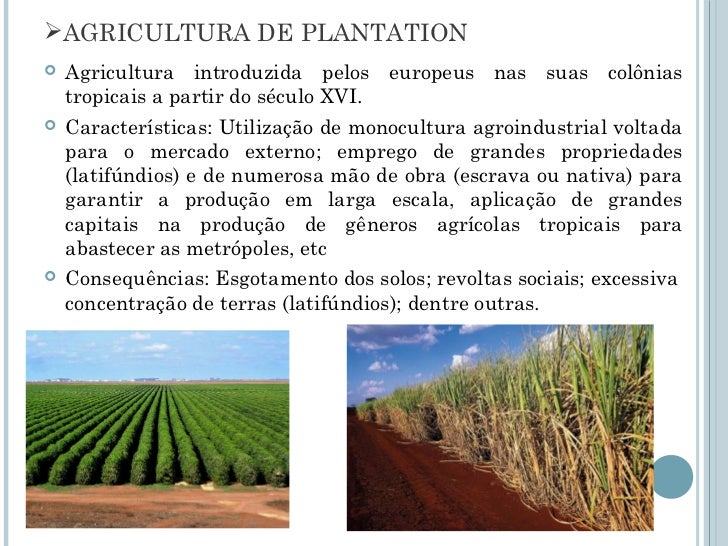 Explique O Que Era O Sistema De Plantation