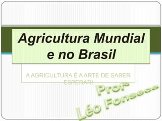 Agricultura Mundial
    e no Brasil
 A AGRICULTURA É A ARTE DE SABER
            ESPERAR!
 