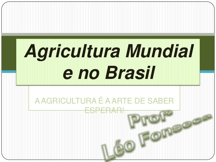 Agricultura Mundial    e no Brasil A AGRICULTURA É A ARTE DE SABER            ESPERAR! 
