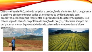 Outro mérito da PAC, além de ampliar a produção de alimentos, foi o de garantir
o seu livre escoamento por todos os membros da União Europeia sem
promover a concorrência feroz entre os produtores dos diferentes países. Isso
foi conseguido através da política de fixação de preços, colocados sempre em
um patamar menor àqueles advindos de países não membros desse bloco
econômico.
 