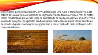 Diante desse panorama, em 2003, a PAC passou por uma nova e profunda revisão. Na
esteira dessa questão, os subsídios aos agricultores não foram cortados, mas as metas
foram modificadas: em vez de focar na quantidade da produção, passou-se a observar a
qualidade dos gêneros agrícolas produzidos internamente, além dos vários benefícios
destinados àqueles produtores que garantiam a preservação do meio ambiente e dos
recursos naturais.
 