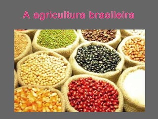 A agricultura brasileira 