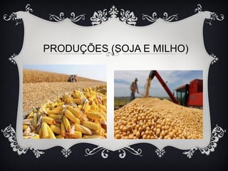 PRODUÇÕES (SOJA E MILHO)
 
