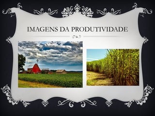 IMAGENS DA PRODUTIVIDADE
 