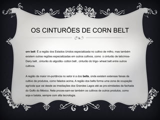 OS CINTURÕES DE CORN BELT
orn belt É a região dos Estados Unidos especializada no cultivo de milho, mas também
existem outras regiões especializadas em outros cultivos, como o cinturão de laticínios-
Dairy belt , cinturão do algodão- cotton belt , cinturão do trigo- wheat belt entre outros
cultivos.
A região de maior im-portância no setor é a dos belts, onde existem extensas faixas de
cultivo de produtos, como falados acima, A região dos belts forma uma zona de ocupação
agrícola que vai desde as imediações dos Grandes Lagos até as pro-ximidades da fachada
do Golfo do México. Nela proces-sam-se também os cultivos de outros produtos, como
soja e batata, sempre com alta tecnologia.
 