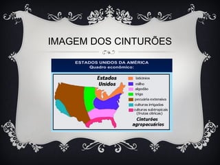 IMAGEM DOS CINTURÕES
 