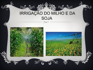 IRRIGAÇÃO DO MILHO E DA
SOJA
 