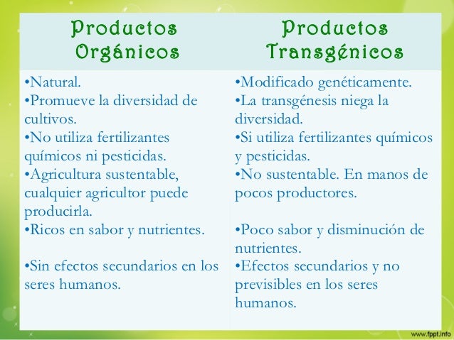Cuadro Comparativo De Alimentos Transgenicos Y Organicos