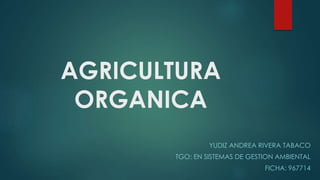 AGRICULTURA
ORGANICA
YUDIZ ANDREA RIVERA TABACO
TGO: EN SISTEMAS DE GESTION AMBIENTAL
FICHA: 967714
 