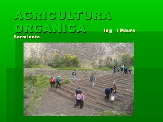 AGRICULTURAAGRICULTURA
ORGANICAORGANICA IngIng : Mauro: Mauro
SarmientoSarmiento
 