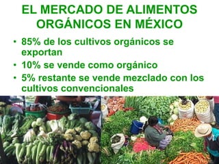 EL MERCADO DE ALIMENTOS
ORGÁNICOS EN MÉXICO
• 85% de los cultivos orgánicos se
exportan
• 10% se vende como orgánico
• 5% restante se vende mezclado con los
cultivos convencionales
 