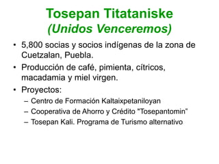 Tosepan Titataniske
(Unidos Venceremos)
• 5,800 socias y socios indígenas de la zona de
Cuetzalan, Puebla.
• Producción de café, pimienta, cítricos,
macadamia y miel virgen.
• Proyectos:
– Centro de Formación Kaltaixpetaniloyan
– Cooperativa de Ahorro y Crédito "Tosepantomin”
– Tosepan Kali. Programa de Turismo alternativo
 