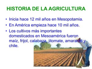 HISTORIA DE LA AGRICULTURA
• Inicia hace 12 mil años en Mesopotamia.
• En América empieza hace 10 mil años.
• Los cultivos más importantes
domesticados en Mesoamérica fueron
maíz, frijol, calabaza, jitomate, amaranto y
chile.
 