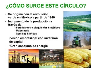 • Se origina con la revolución
verde en México a partir de 1940
• Incremento de la producción a
través de:
¿CÓMO SURGE ESTE CÍRCULO?
- Fertilizantes y plaguicidas sintéticos
- Maquinaria
- Semillas híbridas
•Visión empresarial con inversión
de capital
•Gran consumo de energía
 