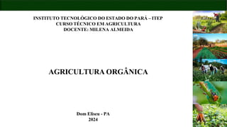 INSTITUTO TECNOLÓGICO DO ESTADO DO PARÁ – ITEP
CURSO TÉCNICO EM AGRICULTURA
DOCENTE: MILENA ALMEIDA
AGRICULTURA ORGÂNICA
Dom Eliseu - PA
2024
 