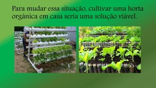 Para mudar essa situação, cultivar uma horta
orgânica em casa seria uma solução viável.
 